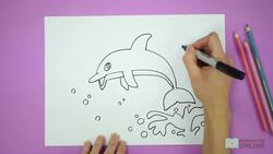Arts and Crafts: How to Draw a Dolphin Instructional Video