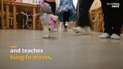 Dancing mini robots are helping to teach children in Seoul kindergartens News Clip