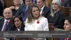 'Economy is slowing down,' says Freeland News Clip