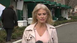 Conway: Pelosi 'lied' about SOTU security concerns Instructional Video