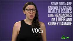 Can Houseplants Improve Air Quality? Instructional Video