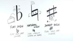 Music Theory - Accidentals, The Basics Instructional Video