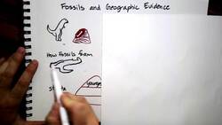 Fossils and Geographical Evidence Instructional Video
