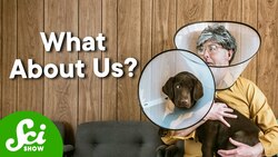 Why Your Dog Has An Anti-Tick Pill And You Don’t? Instructional Video