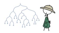 You Are A Fish Instructional Video