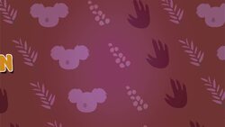 I WONDER - Do Koalas Have Pockets? Me Pregunto - Tienen Los Koalas Bolsillos? Instructional Video