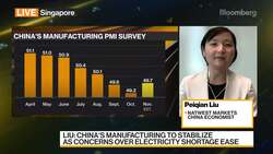 Natwest Markets China Economist Peiqian Liu on China's PMI News Clip
