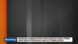 China Said to Ask State Buyers to Halt U.S. Agriculture Imports News Clip
