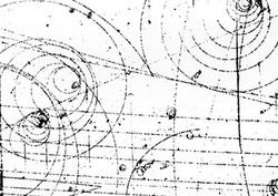Quark Instructional Video