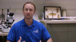 How to Handle a Bed Bug Infestation Instructional Video