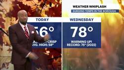 Pleasant, mostly sunny weather in the Bronx News Clip