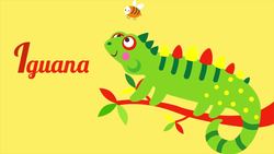 Animal ABCs Song! Instructional Video