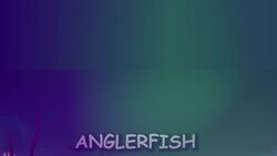How Does The Angler Fish Glow? Instructional Video