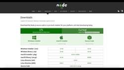 Express Framework Mastery: From Beginner to Advanced with Node.js - Install Node.js Instructional Video