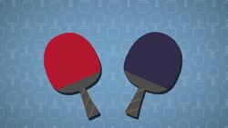 I WONDER - Why Do Table Tennis Rackets Have Two Different Coloured Sides? Instructional Video