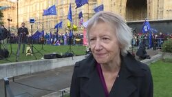 CLEAN : Expert explains new Brexit delay after Parliament vote News Clip