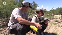 Stung by a Scorpion - with Sting Closeup! Instructional Video