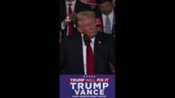 Trump will 'work to rescue economy' even if he'd rather tan his 'beautiful white skin' on a beach News Clip