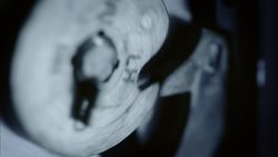 How To Fine-tune Your Touch Instructional Video