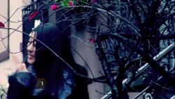 How To Choose the Best Way To Send Flowers Instructional Video