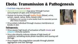 Overview of Ebola | Hemorrhagic Fever, Causes, Pathophysiology, Symptoms, Diagnosis, Treatment Instructional Video