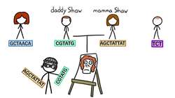 Is It Safe To Get Your DNA Tested? Instructional Video