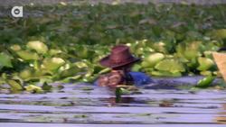 Diving for Snapping Turtles! Instructional Video