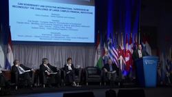 Simon Johnson: The Challenge of Large, Complex Financial Institutions (6/7) Instructional Video