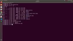 Docker - A Complete Hands-On Guide - Create Your First Dockerfile Instructional Video