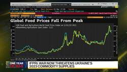 IFPRI's Glauber on Food Security Outlook News Clip