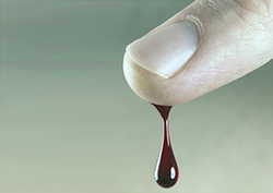 Why is Blood Red? Instructional Video