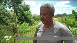 VOICED : Brumadinho un año de duelo por el desastre minero del sudeste de Brasil News Clip