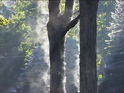 Light: Mirrors and Lenses Instructional Video