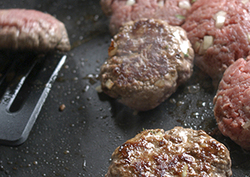 Thermal conductors Instructional Video