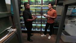 Benefits of Farming Crickets: A Sustainable and Nutrient-Dense Protein Source Instructional Video