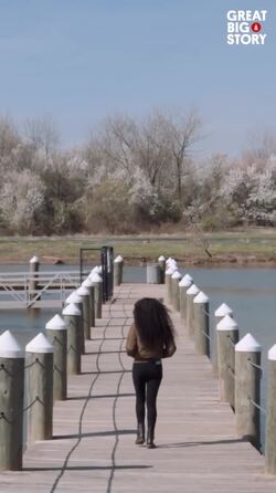 Shalom Blac, inspiring confidence as a burn survivor and beauty influencer Instructional Video