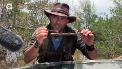 Black Widow Spider Is Too Close For Comfort? Instructional Video