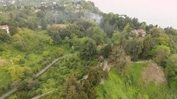 Column of smoke comes of density of trees, summer fires due to high temperatures Stock Footage