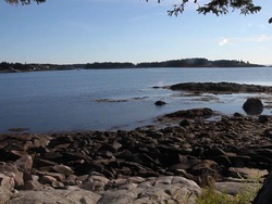 Recursos naturales: recapitulando Instructional Video