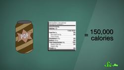 World's Most Asked Questions How Many Calories Should I Have in a Day Instructional Video
