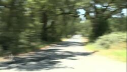 California's growing pot problem: Too much of a good thing? News Clip