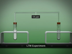 Chemical Properties of Acid and Base Instructional Video