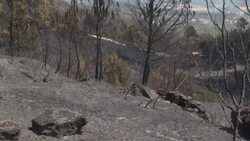 CLEAN : Portugal: firefighters contain Serra da Estrela natural park blaze News Clip