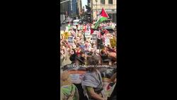 Huge rally in New York demands end to Gaza starvation News Clip