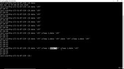 Bash Shell Scripting- Design a simple digital clock Instructional Video