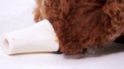 How to Pick the Right Toys for Your Puppy Instructional Video