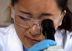 Plant vs Animal Cells Instructional Video