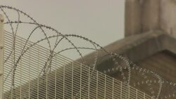 HMP Leeds Prison fencing and gates News Clip