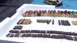 Stewards find new ways of monitoring natural areas News Clip