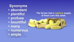 Synonyms and Antonyms Instructional Video